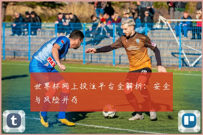 世界杯网上投注平台全解析：安全与风险并存