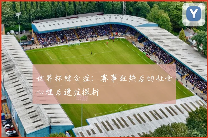 世界杯综合症：赛事狂热后的社会心理后遗症探析