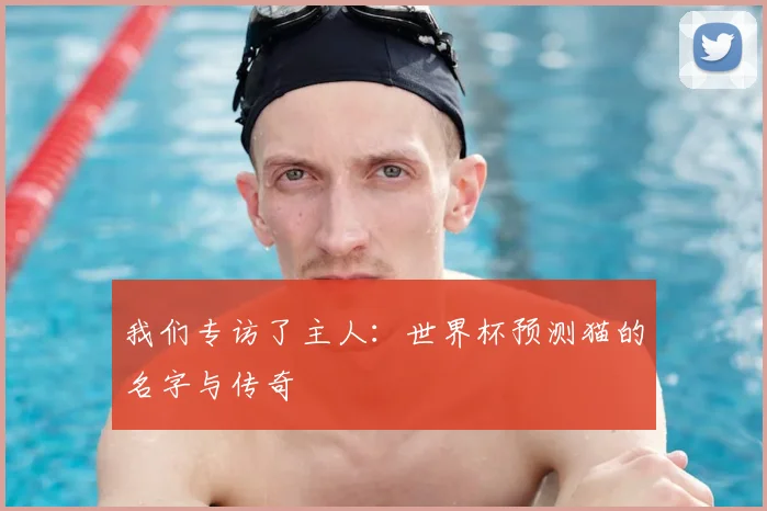 我们专访了主人：世界杯预测猫的名字与传奇