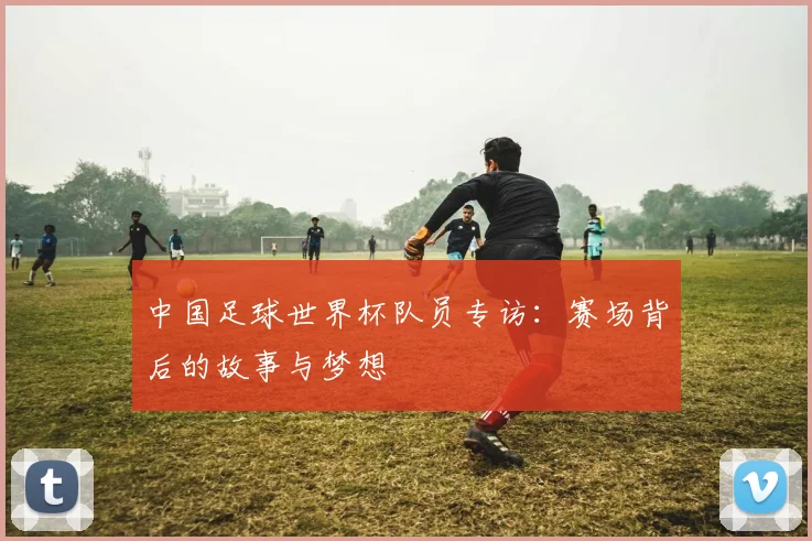 中国足球世界杯队员专访：赛场背后的故事与梦想