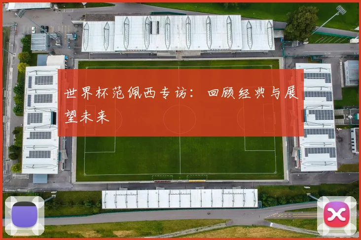 世界杯范佩西专访:回顾经典与展望未来