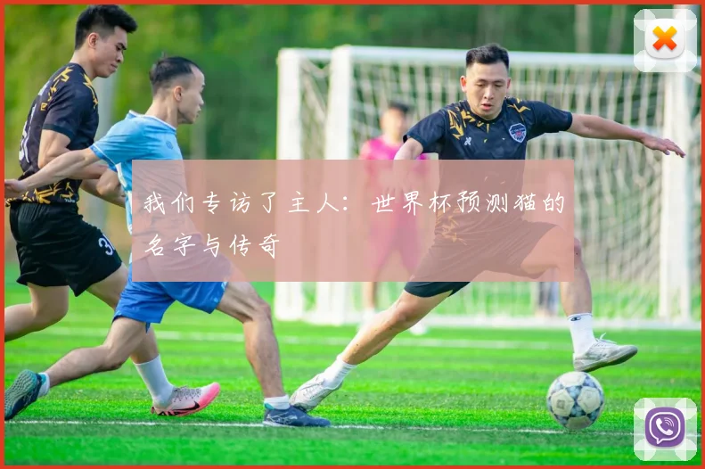 我们专访了主人:世界杯预测猫的名字与传奇