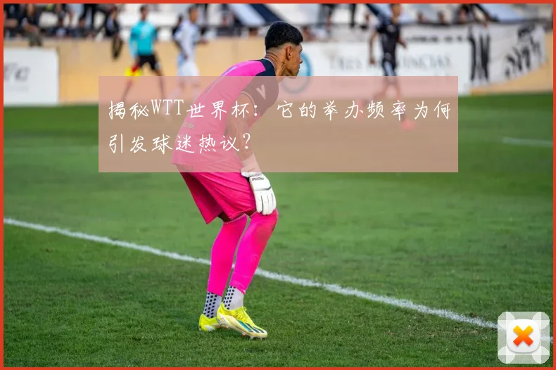 揭秘WTT世界杯：它的举办频率为何引发球迷热议？