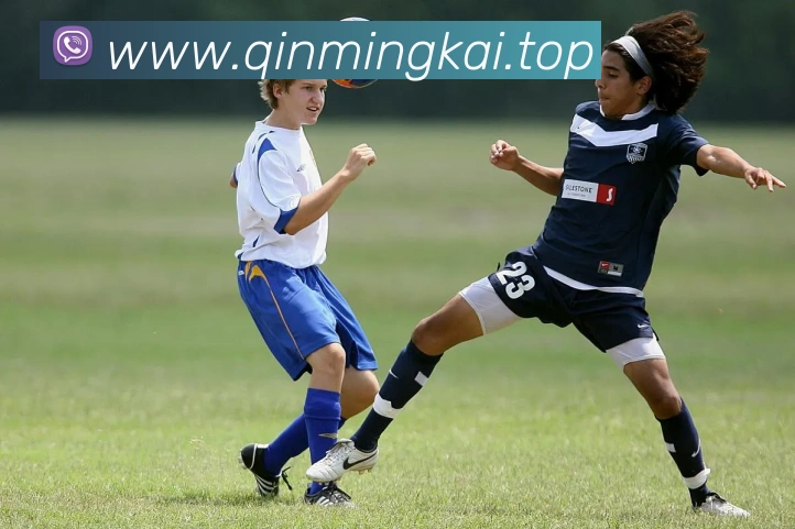 多媒体互动体验